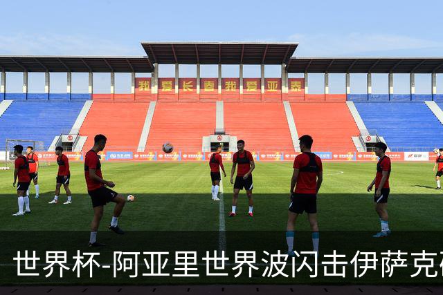 世界杯-阿亚里世界波闪击伊萨克破门 半场瑞典2-1突尼斯